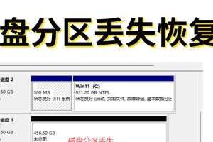 电脑应用程序错误的原理及解决方法（深入探究电脑应用程序错误的成因与应对策略）