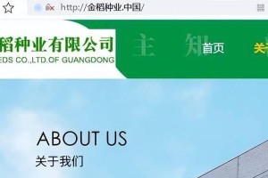 以.co的域名趋势与机遇（探索.CO域名的发展前景和商业价值）