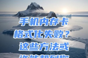 内存卡格式化教程（详解内存卡格式化方法及注意事项）