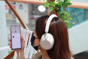 索尼S703（探索索尼S703音质的奥秘，揭示其卓越之处）
