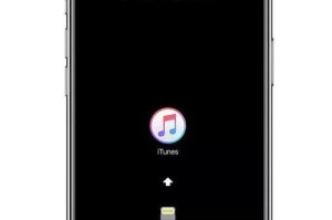 探索iOS6s系统10.3.1的特色与功能（揭开苹果6s系统最新版本的魅力与优势）