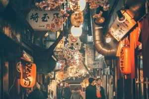 驴妈妈（重塑旅业格局的关键转型和挑战）