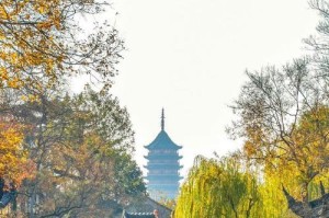 分享战友团系列任务全代码（代码共享，助力编程学习者快速成长）