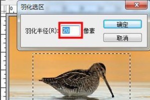 羽化属性大揭秘（轻松掌握PS技巧，让你的作品翱翔蓝天）