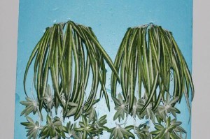 友威YW9500——一款出色的音响设备（畅享震撼音效，让音乐触动灵魂）