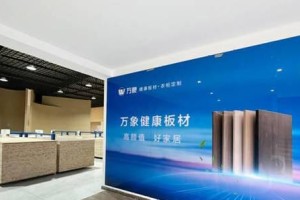 以5s升级8