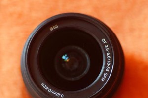 索尼镜头55-300的性能评测（适合远距离拍摄的高性价比选择）