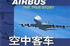 《以晨枫4.0教程——打造高效学习方法》（提升学习效率的关键步骤，让你事半功倍）