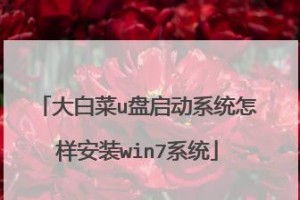 大白菜安装详细教程（轻松学会如何安装大白菜，开启美味之旅）
