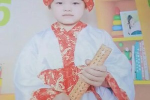 以维佳特手机怎么样？（细致评测维佳特手机，全面了解其性能和功能）