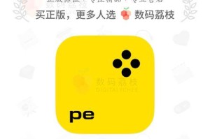 如何使用技巧美化照片（掌握关键技术，让你的照片更加出色）