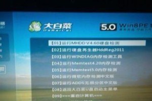HDDReg2011教程（学习如何使用HDDReg2011恢复丢失的数据，并保护您的硬盘）