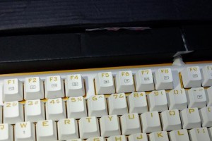 贱驴612蹄子评测——优点与不足（探究贱驴612蹄子的性能特点、使用体验和改进建议）