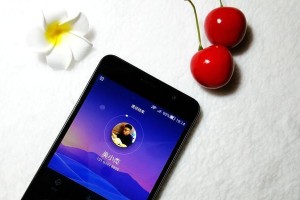探索EMUI3.0（华为手机主题定制引领个性化体验）