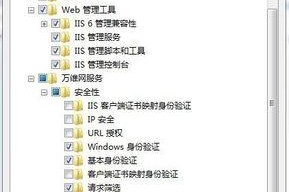 利用IIS搭建网站的详细教程（掌握IIS服务器配置和网站建设的关键步骤）